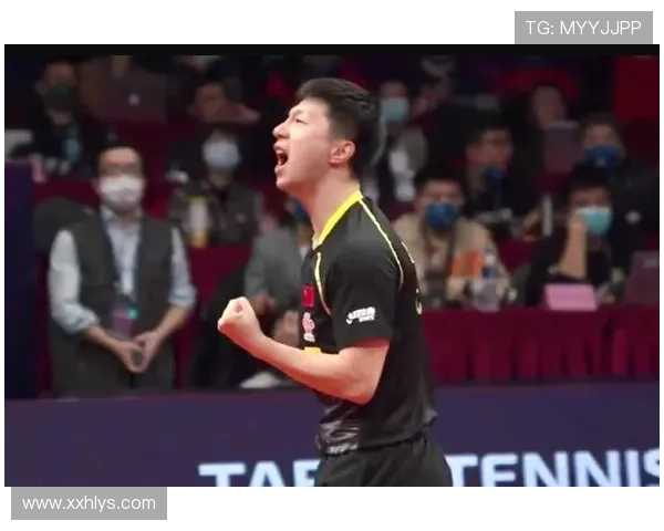 西安排球队的成长之路与总决赛背后的奋斗故事